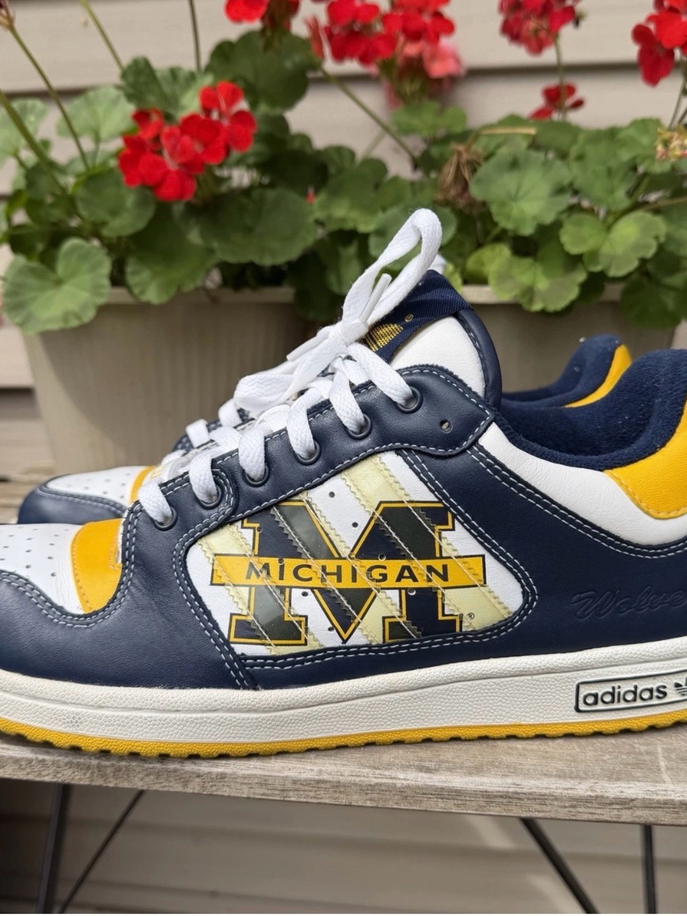 Vintage Adidas Decade Low Michigan Wolverines Promo Shoes Y2K Men's Size
12